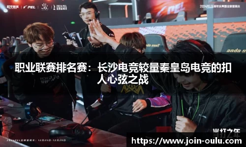 欧陆娱乐